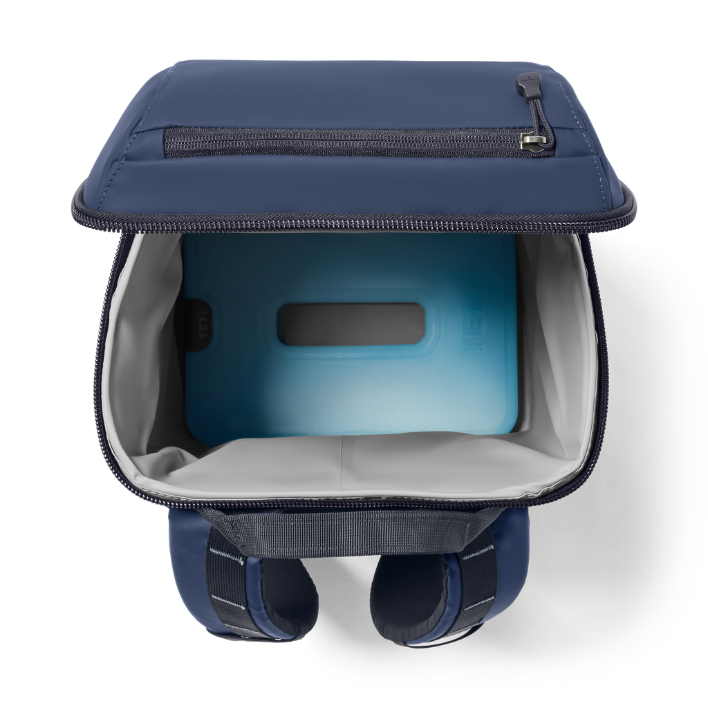 Daytrip® 20L Insulated Backpack